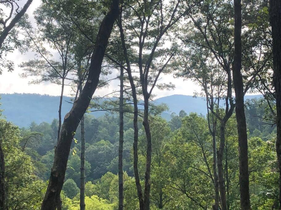 Log With Mountain View And Privacy *