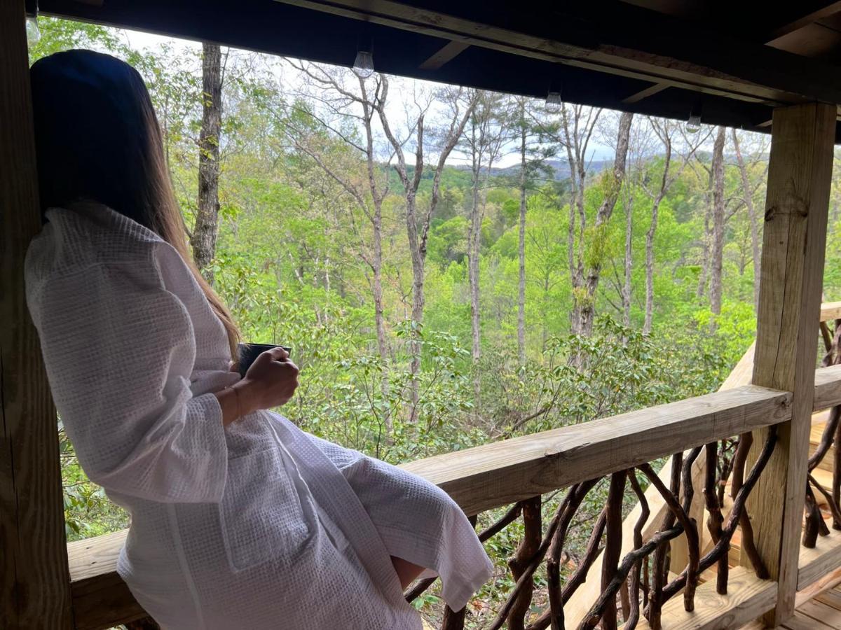 Log With Mountain View And Privacy * Blue Ridge