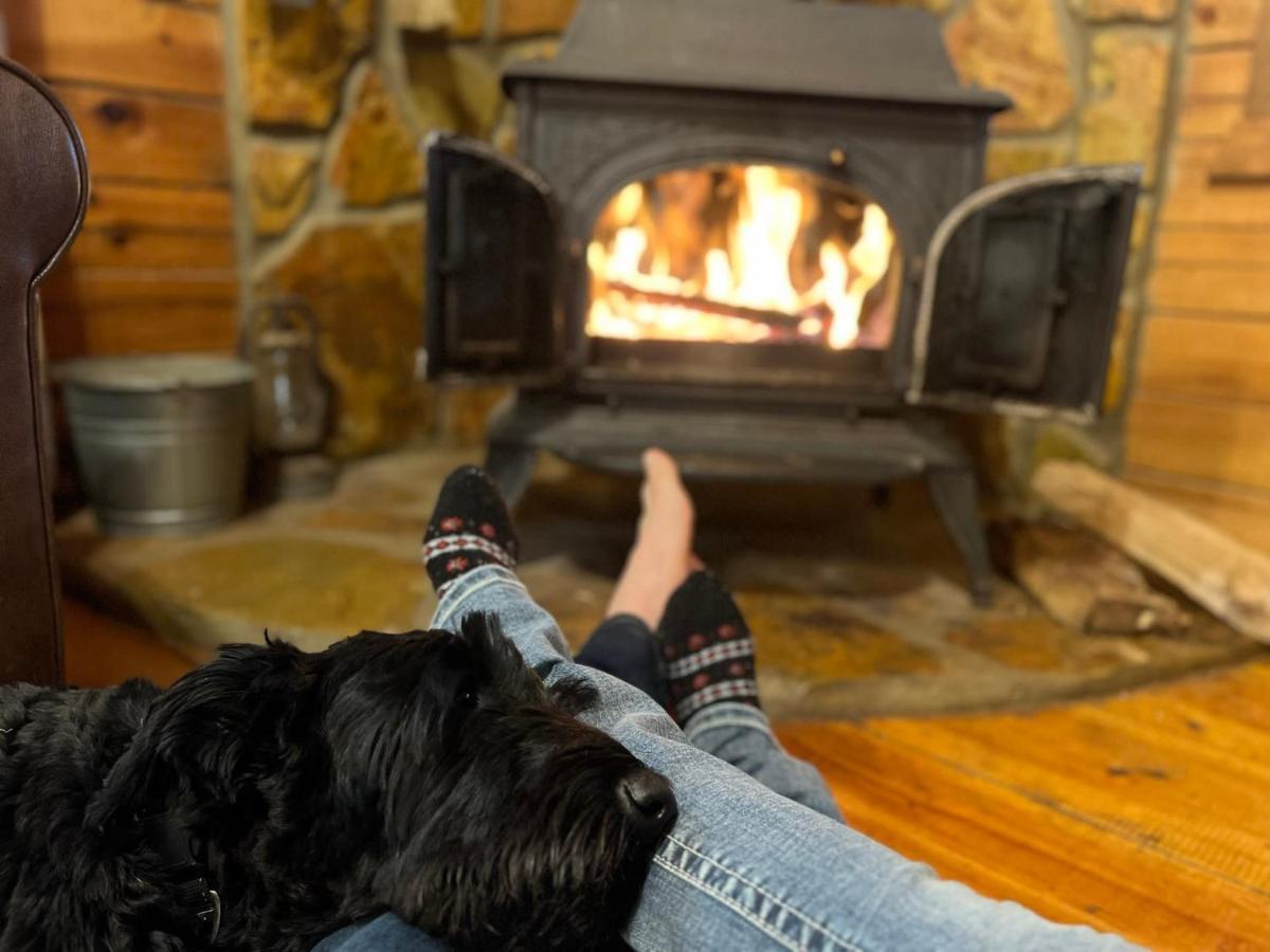Log With Mountain View And Privacy Holiday home *