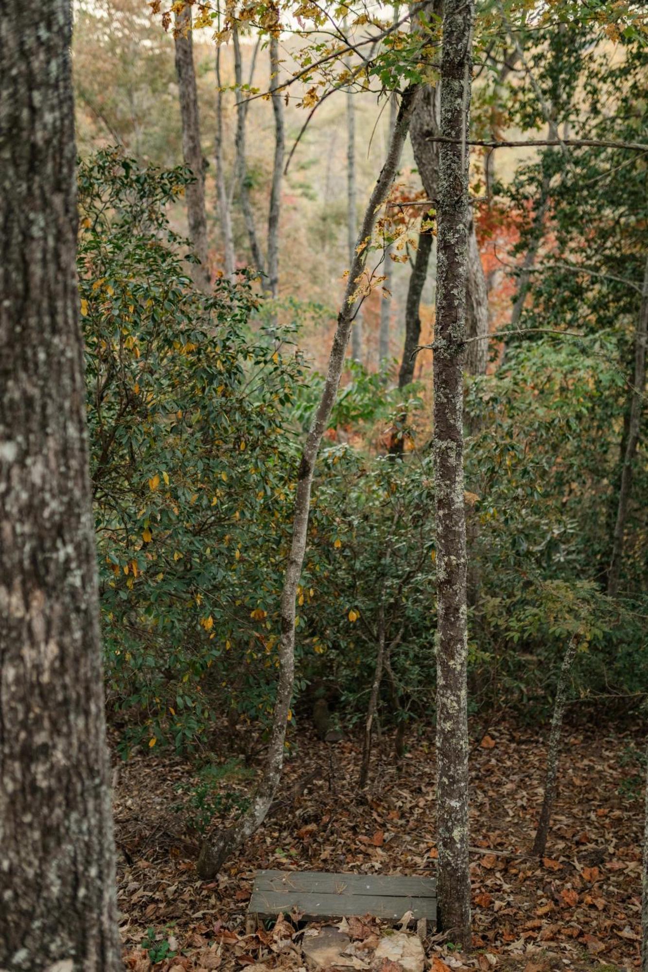 Log With Mountain View And Privacy * Blue Ridge