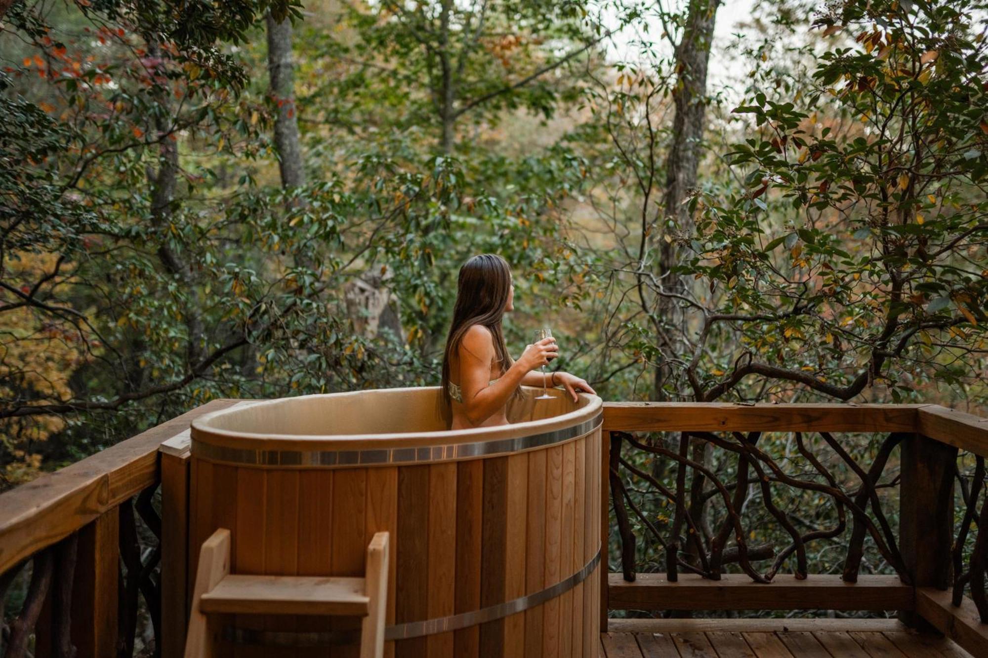 Log With Mountain View And Privacy Holiday home