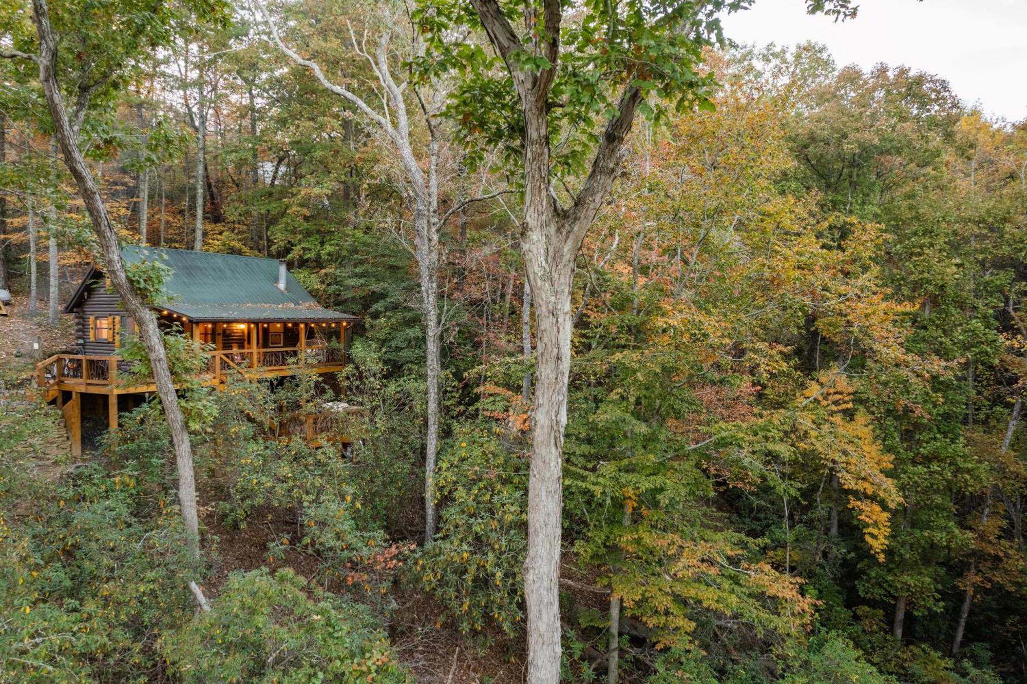 Log With Mountain View And Privacy